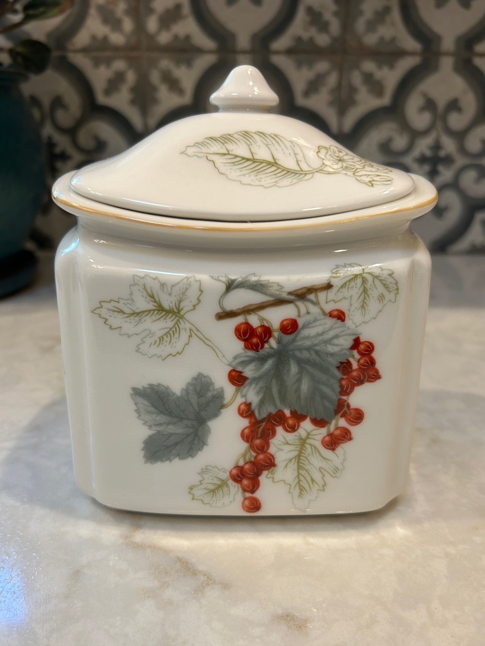 VIntage & Discontinued Charter Club Porcelain Canister with Lid- 1990s EUC